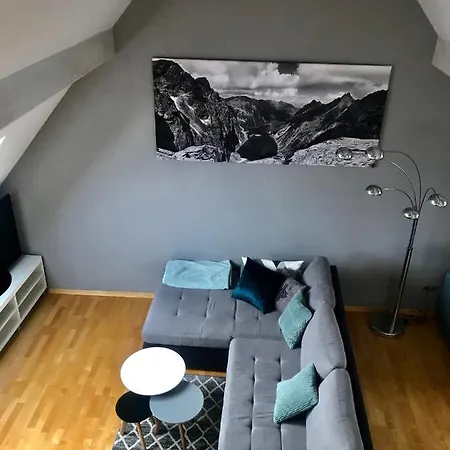 Irys アパート ザコパネ