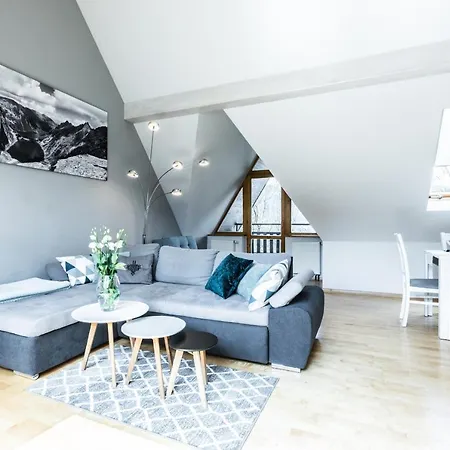 アパート Irys ザコパネ